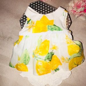 NWT dressed up by Gymboree blouse top with bloomer